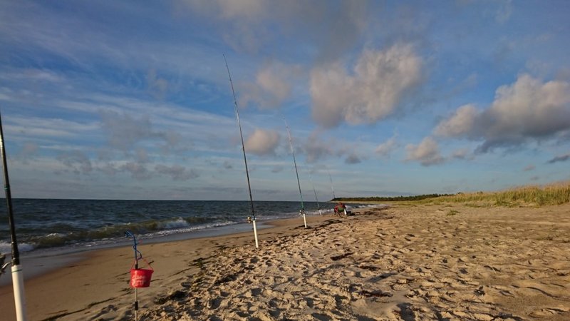 DSC_1037.JPG