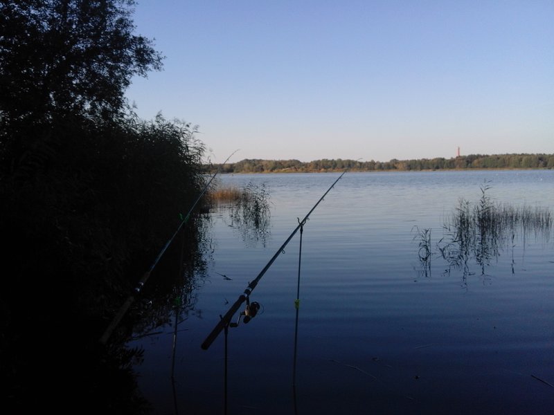 20170924_090955.jpg