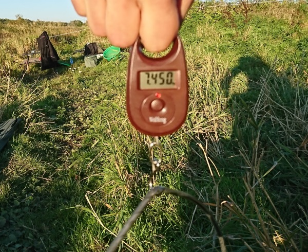 DSC_1077.JPG