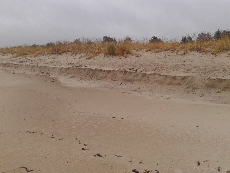 20171111_095303.jpg