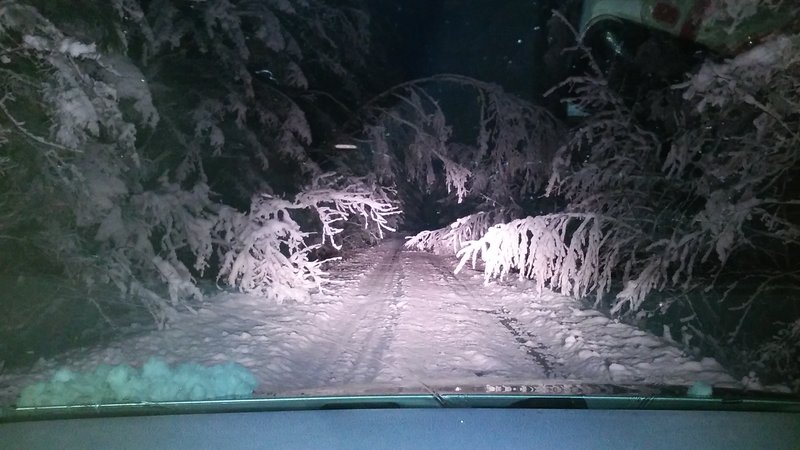 20171202_074854.jpg