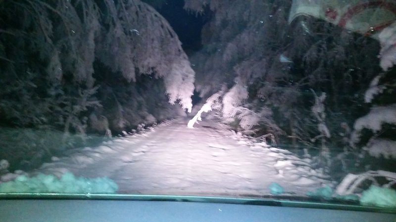 20171202_075213.jpg