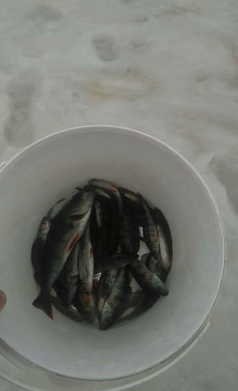 received_10210704930884926.jpeg