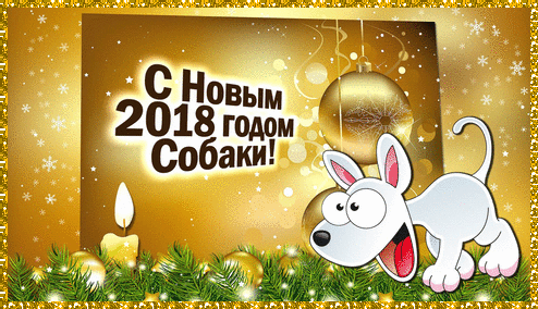 112295359.gif