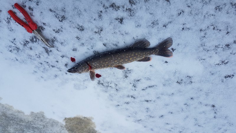 20180114_132001.jpg