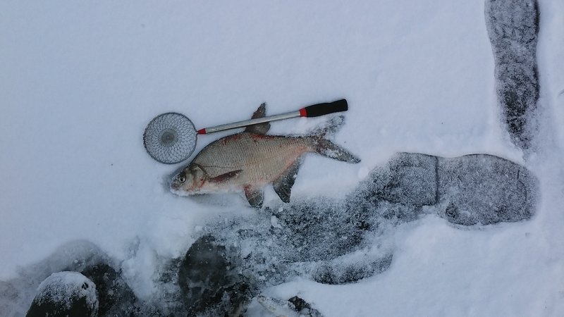 20180122_134514.jpg