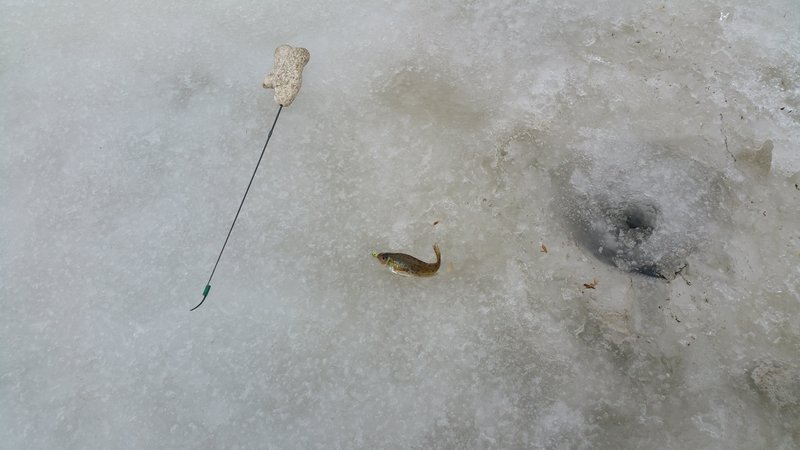 20180127_123452.jpg