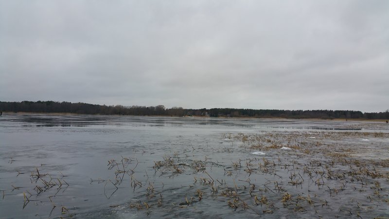 20180127_130310.jpg