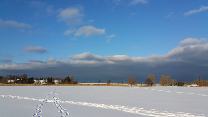 20180131_141650.jpg