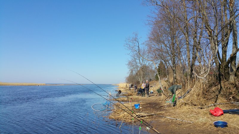 20180414_141705.jpg