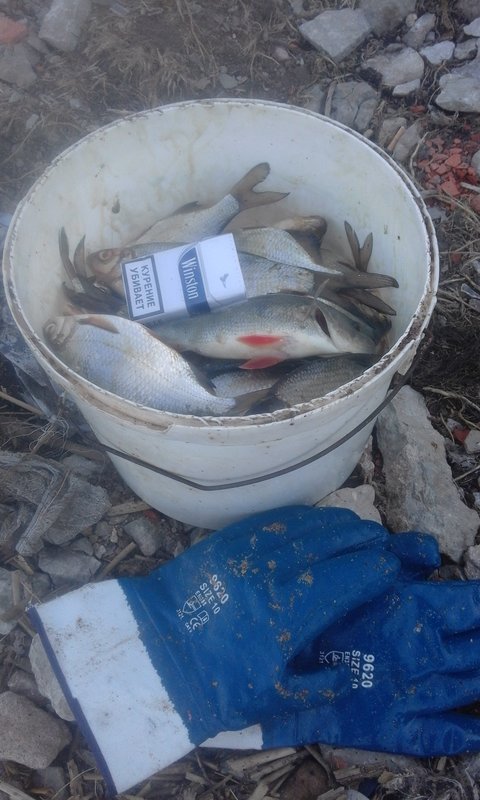 20180430_174544.jpg