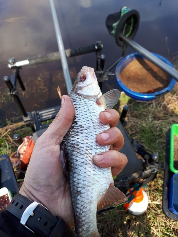 20180504_123135.jpg