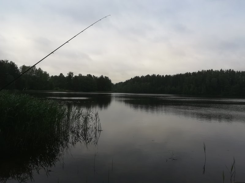 IMG_20180619_061629.jpg