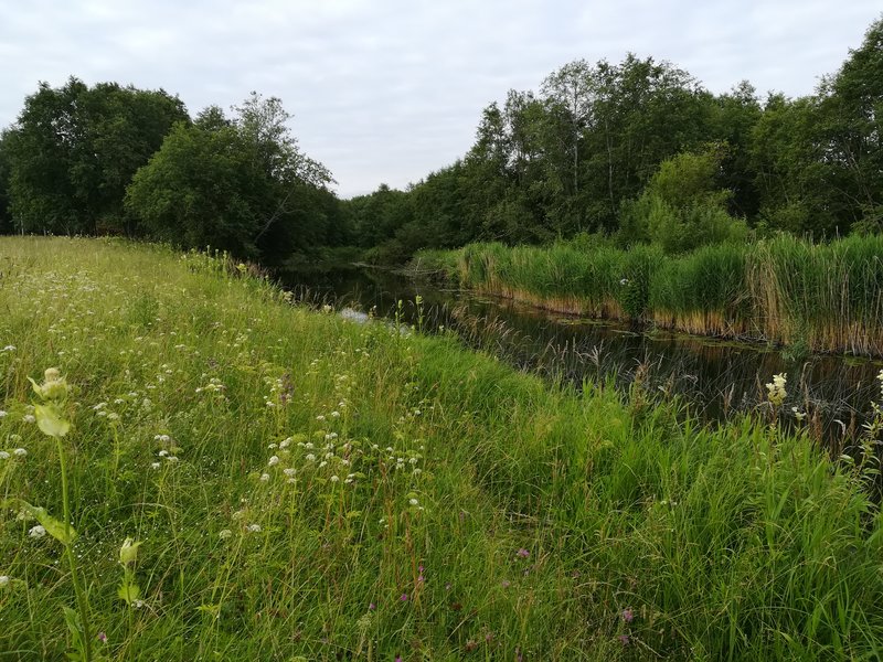 IMG_20180709_073343.jpg
