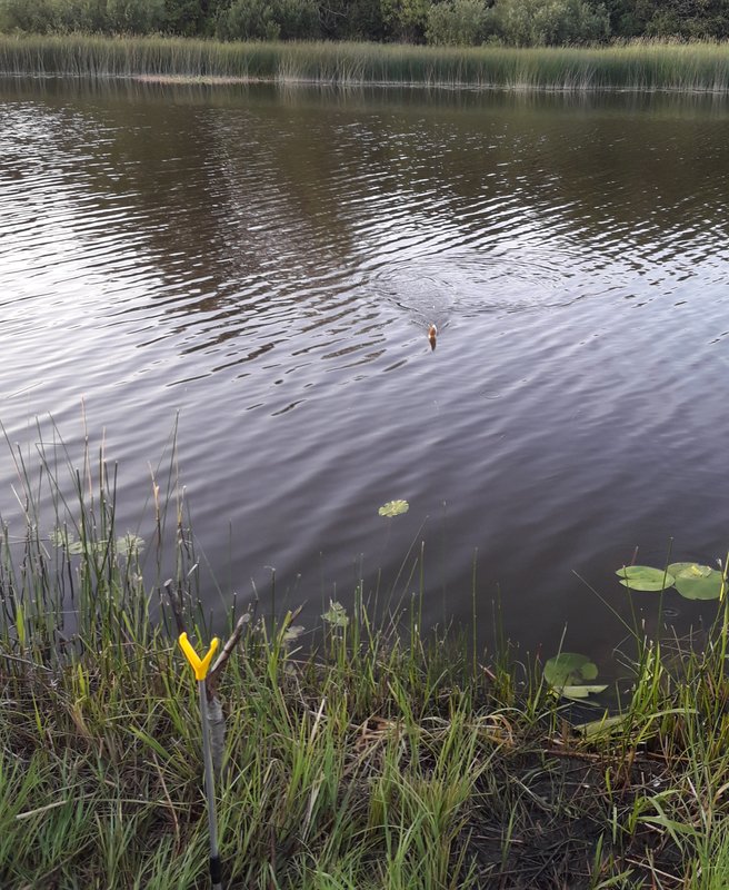 20180723_003051.jpg