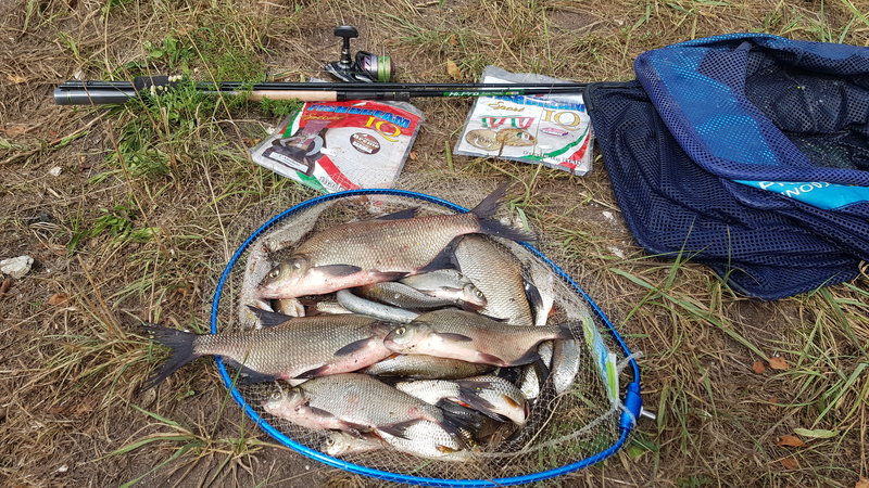 20180811_160557.jpg