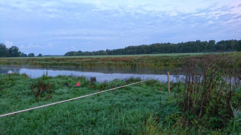 DSC_2023.JPG