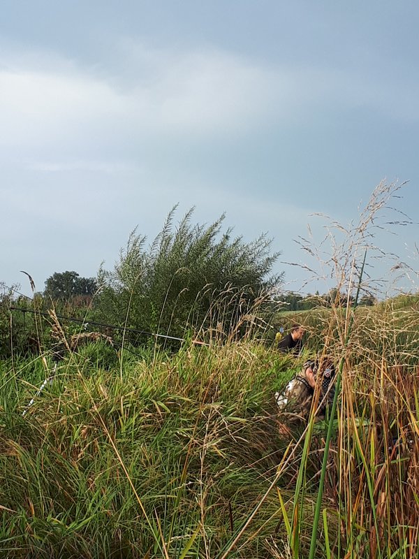 20180908_095615.jpg