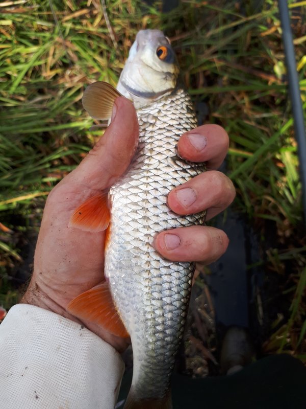 20180908_122326.jpg