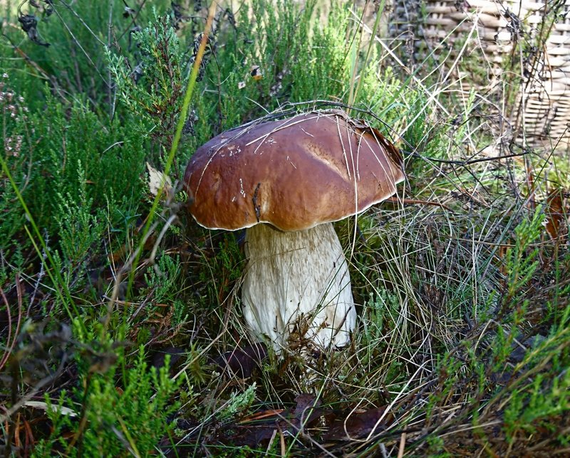DSC_2149.JPG