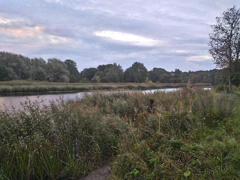 P_20180911_064248_HDR.jpg