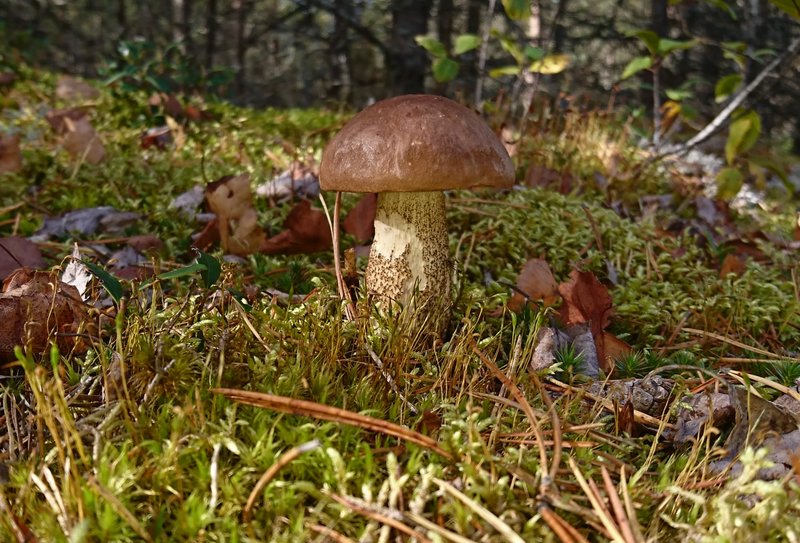 DSC_2182.JPG