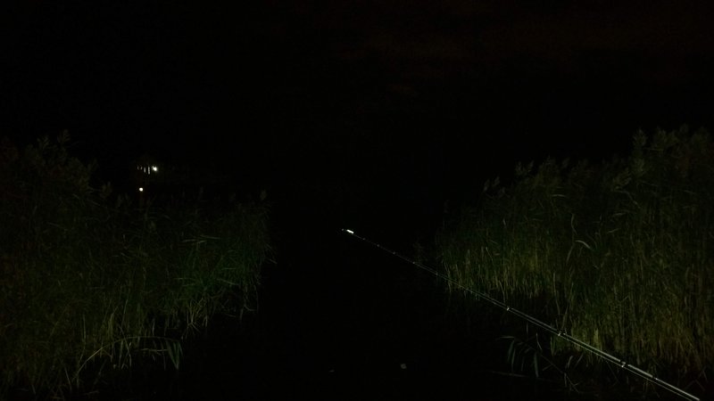 20180928_210430.jpg