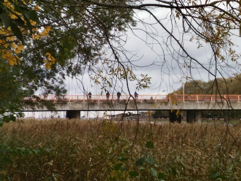 P_20181006_082324_HDR.jpg