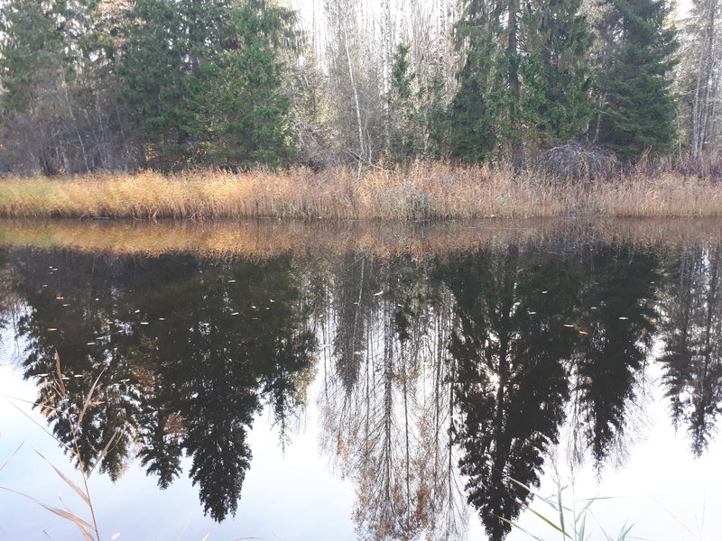 20181021_125351.jpg
