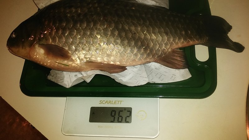 20181120_174947.jpg