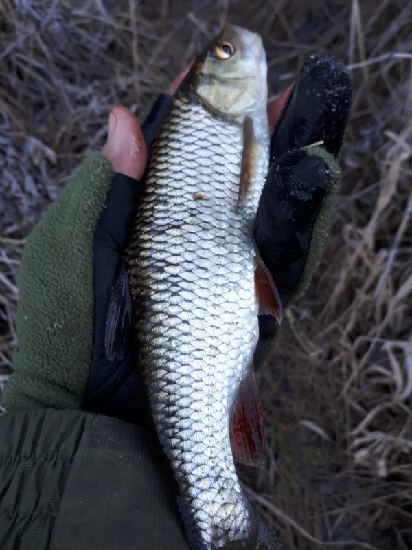 20181125_100358.jpg