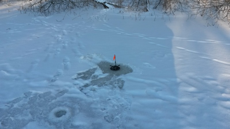 20190127_125800.jpg
