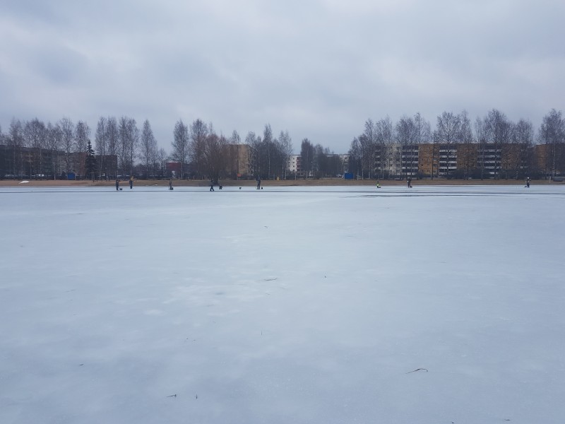 20190316_105723.jpg