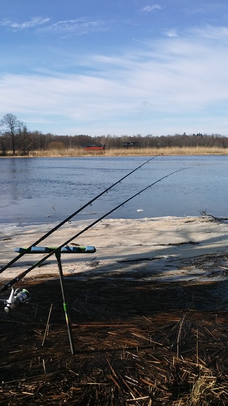 20190320_101634.jpg