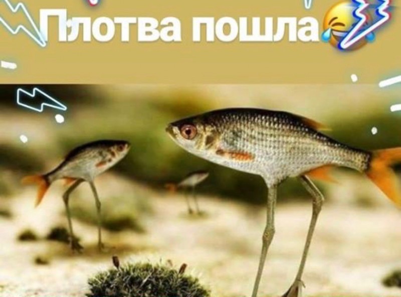 ihu9AatCYYc.jpg