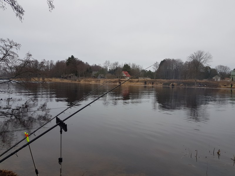 20190330_083947.jpg