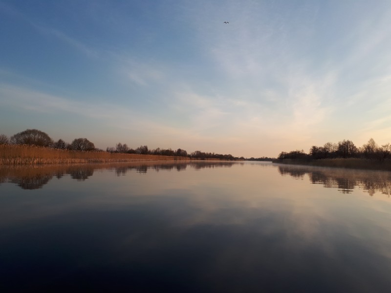 20190405_072017.jpg