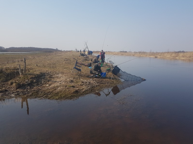 20190407_122200.jpg