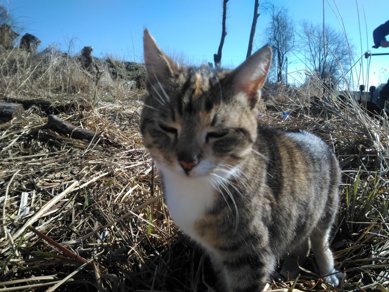 P_20190412_150610.jpg