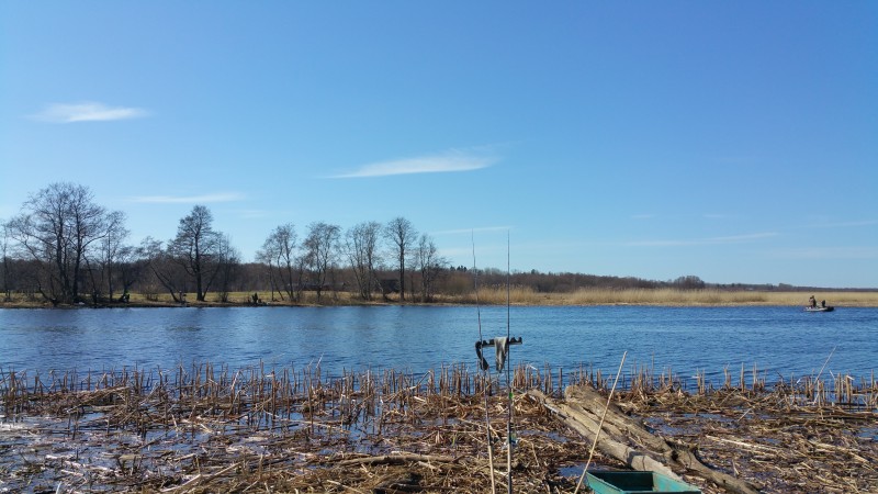 20190406_140116.jpg