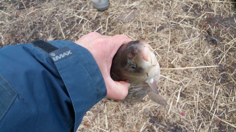 20190413_130749.jpg