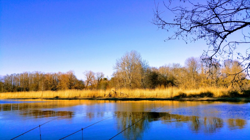 20190413_180722-EFFECTS.jpg