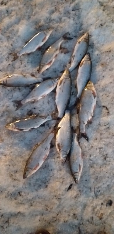 20190415_211450.jpg