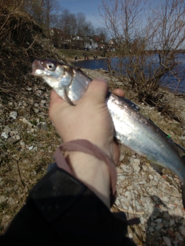 IMG_20190419_122624.jpg