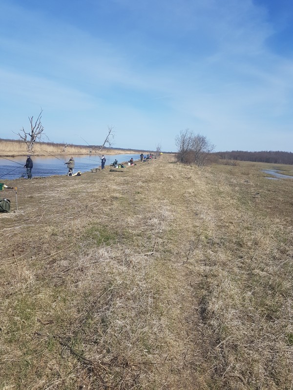 20190419_140830.jpg