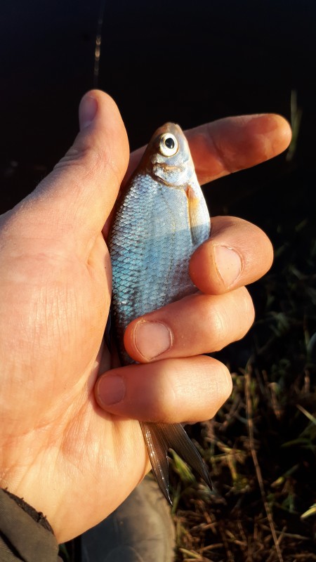 20190424_081026.jpg