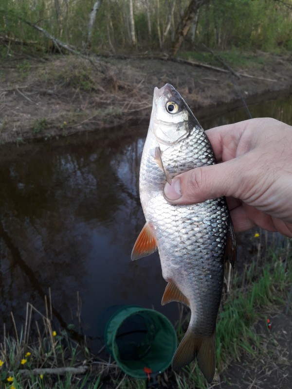 20190426_185331.jpg
