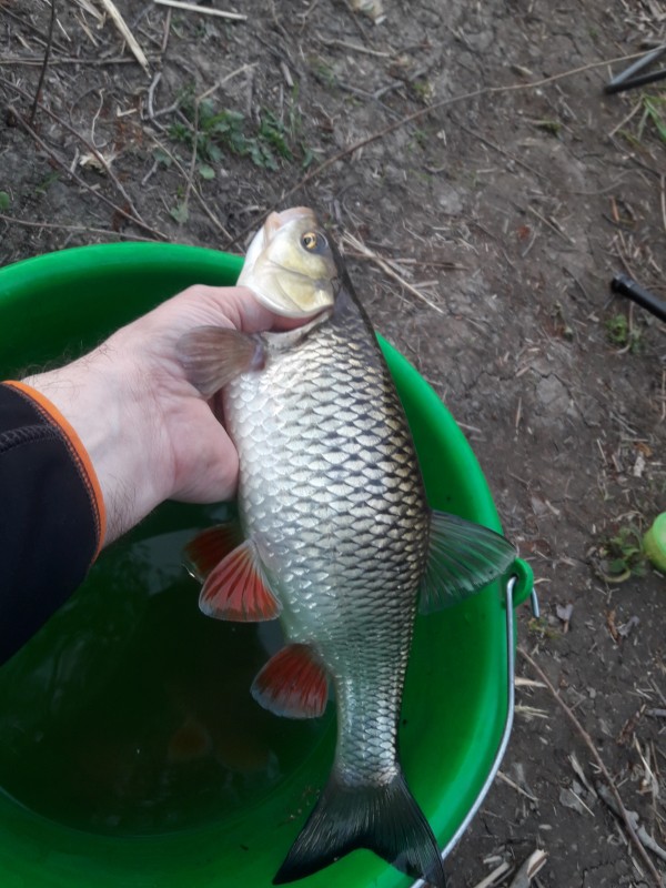 20190426_203256.jpg