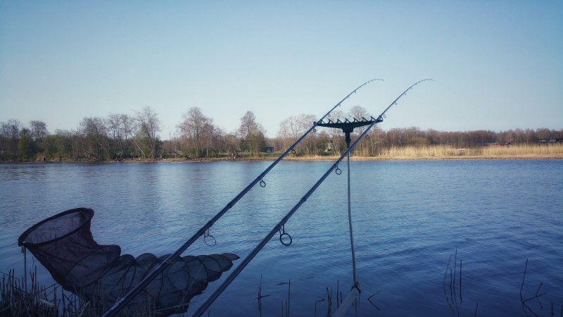 20190428_084039-01.jpeg