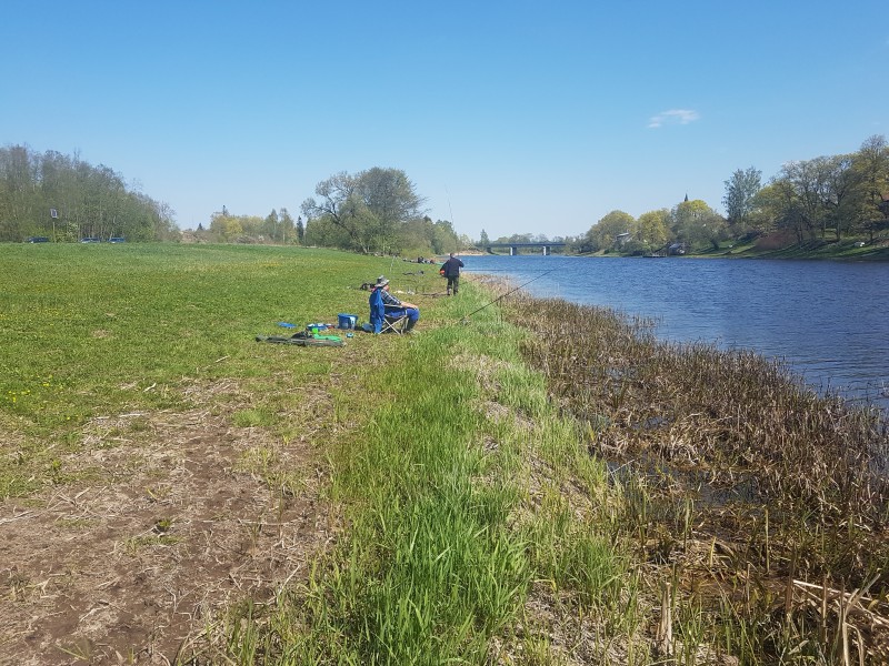 20190501_125700.jpg